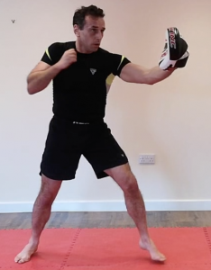 Solo Pad Mitt