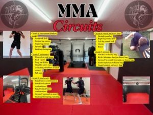 mma circuits
