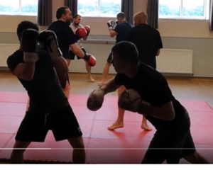 vagabond warriors boxing snip1