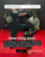 Two people practising Thai boxing; one kicks while the other blocks. Text: New blog post. Buttons: blogs update, read now.
