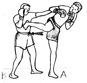 Spinning-Back-Kick-Technique-Of-The-Week-1024x968