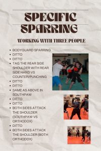 3 people sparring blog