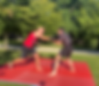 MMA Body Punching & Cumulative Sparring (diary entry)