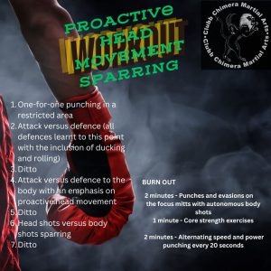 proactive head movement sparring