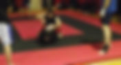 MMA Ground Fighting (diary entry)