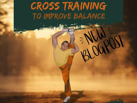 Martial artist in yellow and orange performs a high balance kick; poster text says Martial Arts Cross Training and New Blog Post.