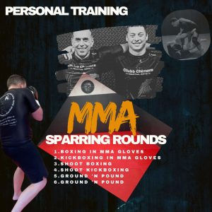 Six MMA Rounds (diary entry)