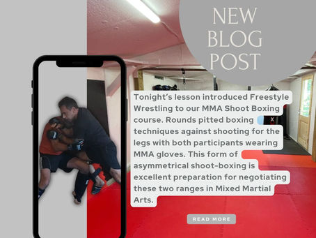 Two people practise MMA in a gym on a phone screen. Red mat, grey walls. Text overlay: "New Blog Post" and lesson description.