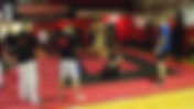 MMA Ground-Fighting Begins (diary entry)