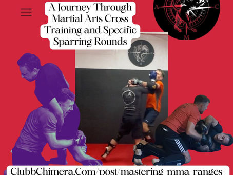 Two people spar in a martial arts gym. Background is red with blog title: "A Journey Through Martial Arts Cross Training."
