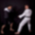 Teacher Consultation: Combinations for Traditional Martial Arts (diary entry)