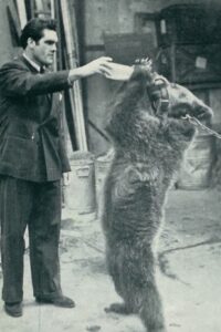 Freddie-Mills-with-Brighton-Chipperfield-Bear