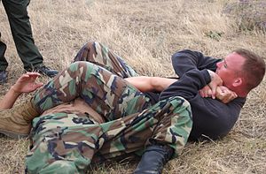 Armlock shown is a straight arm bar (juji-gatame)