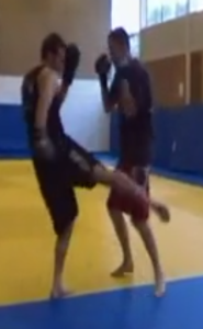 low kick jamie
