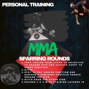 mma ground rounds