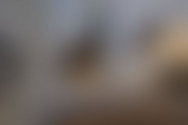 kissojen lajityypillinen käyttäytyminen