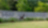Straight Line Painting Co The Woodlands Texas.jpg