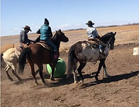 horse soccer