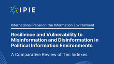 Resilience and Vulnerability: Diretora do NetLab é coautora de relatório do IPIE 