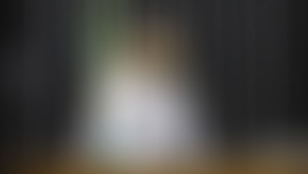 Bill against monetization of digital misogyny is supported by NetLab UFRJ research