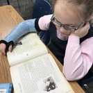 3rd Grade Blog: Be Kind