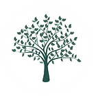 B&R Counseling Change