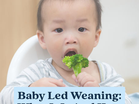 Baby-Led Weaning: What It Is, When Baby Is Ready, and How Feeding Support Can Help