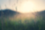 iStock-1322277517.jpg