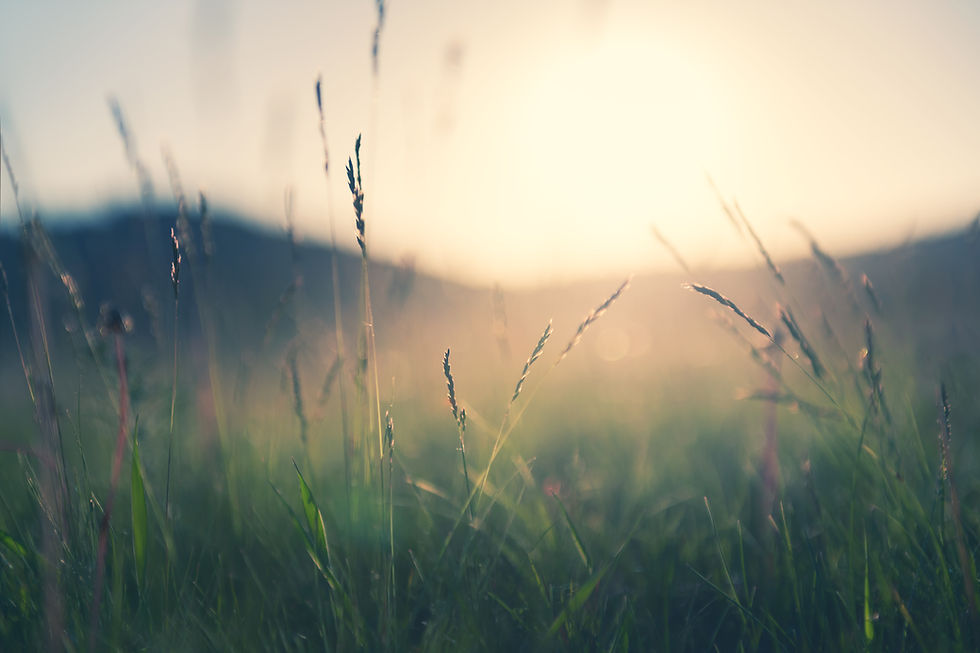 iStock-1322277517.jpg