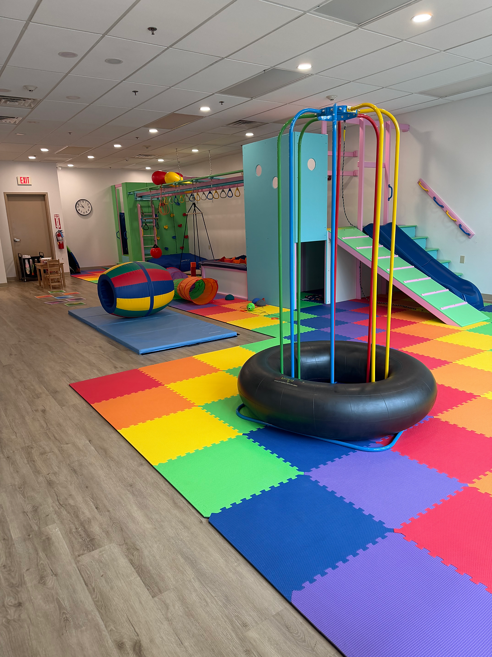 Bigger Sensory gym