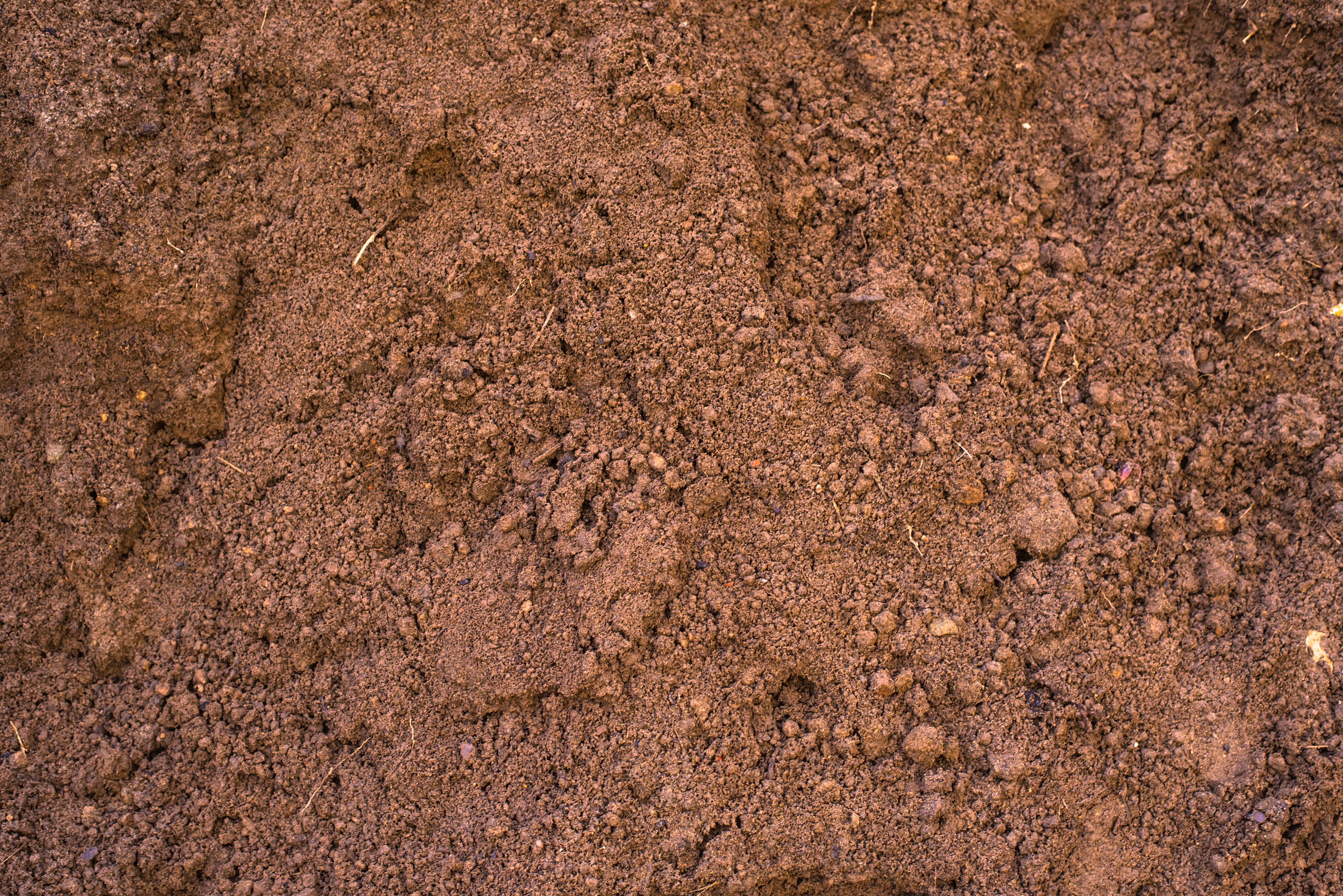 PtB Top Gravelly Loam.jpeg