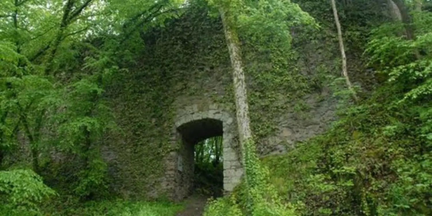 Ruine Hauenstein