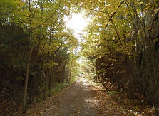 Cataraqui_Trail_east_of_Chaffey's_Lock_DSCN2187r.jpg