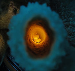 「♪み〜つけたった♪」Photo by ジャイ×2