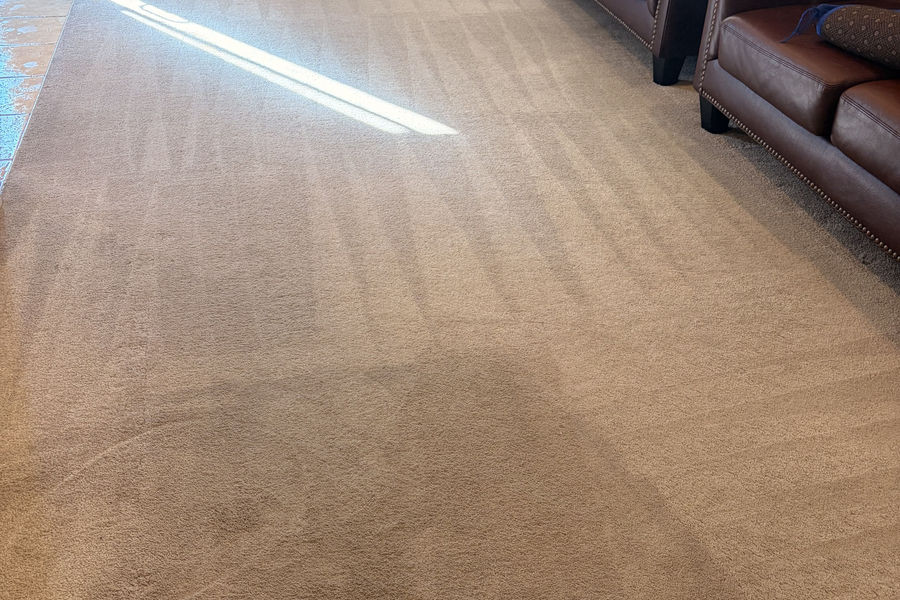The Best Carpet Cleaning Method for Toronto Homes - carpet cleaning in Toronto