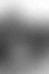 Stone Arch Bridge elopement