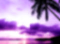 33fbdcc3-6f87-418e-ad44-fc981101f080_edited_edited.jpg