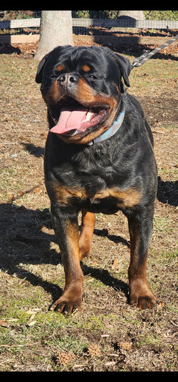 Screenshot_20250224_172434_Gallery