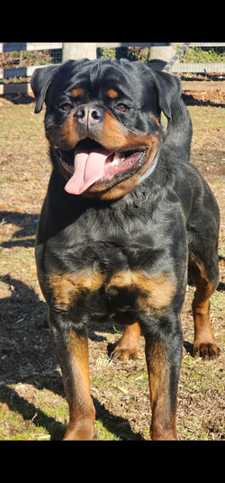 Screenshot_20250224_172520_Gallery