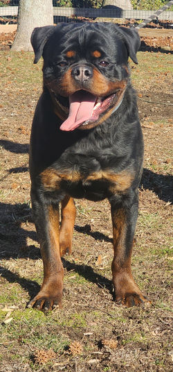 Screenshot_20250224_172457_Gallery