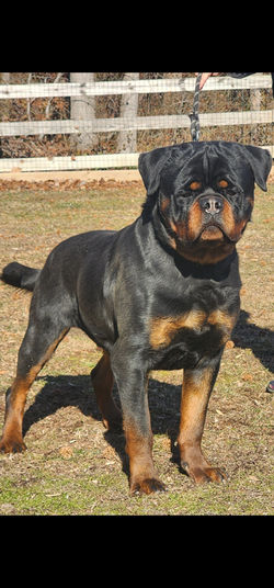 Screenshot_20250224_172618_Gallery