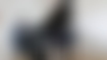 Семинар ассоциации фортепианных мастеров России в Брянске