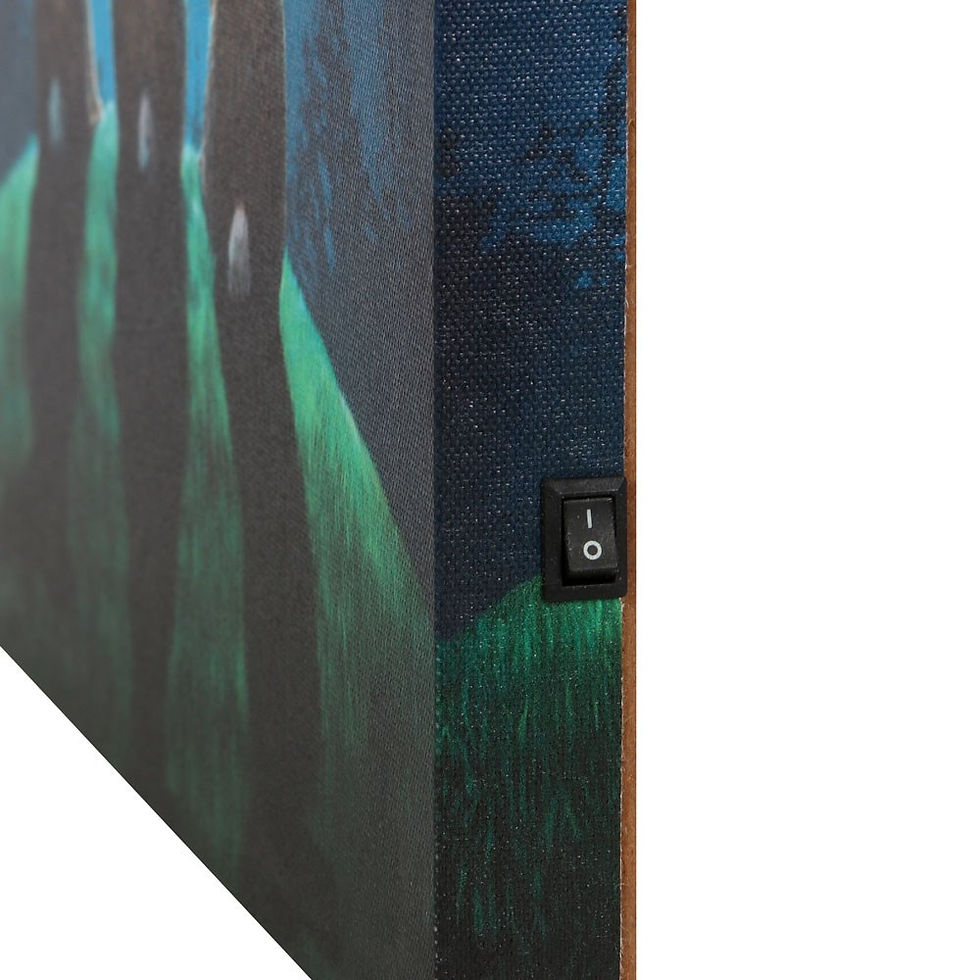 Thumbnail: Moon Shadows Light Up Canvas Plaque by Lisa Parker