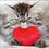Thumbnail: Valentine’s Day Deal - Balloon in a Box & Card