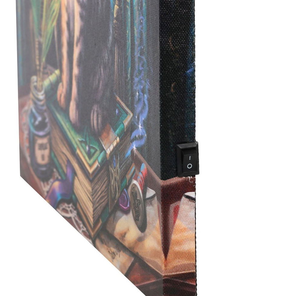 Thumbnail: Book of Shadows Light Up Canvas Plaque by Lisa Parker