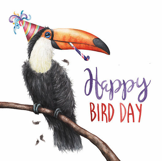 Happy Bird Day Card