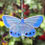 Thumbnail: Chalkhill Blue Butterfly Suncatcher