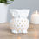 Thumbnail: White Owl Oil Burner