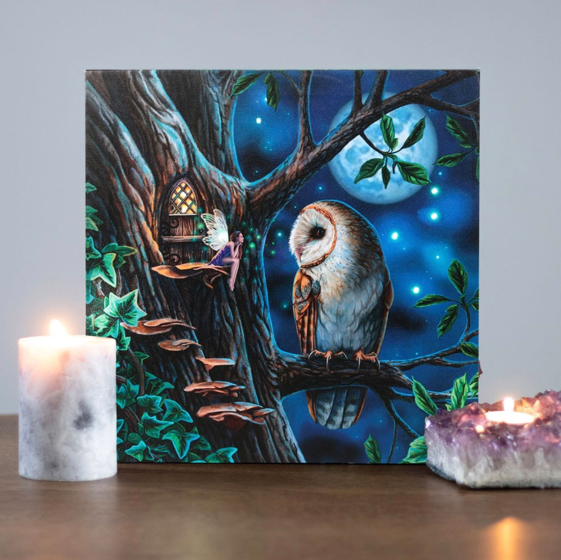 Fairy Tales Light Up Canvas Plaque by Lisa Parker