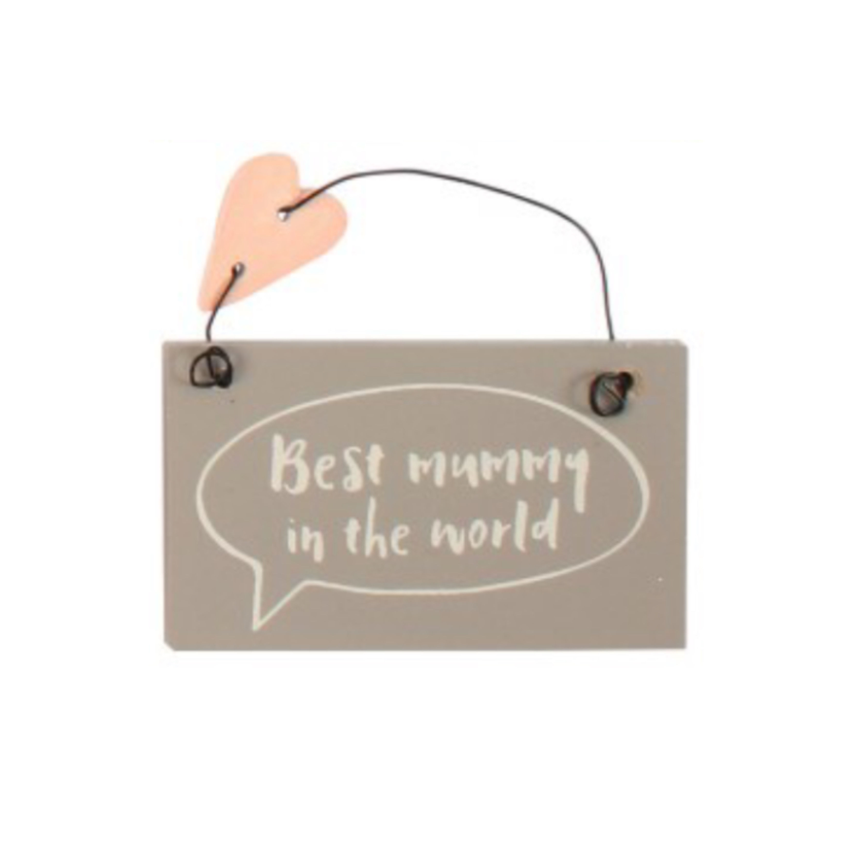 Best Mummy In The World